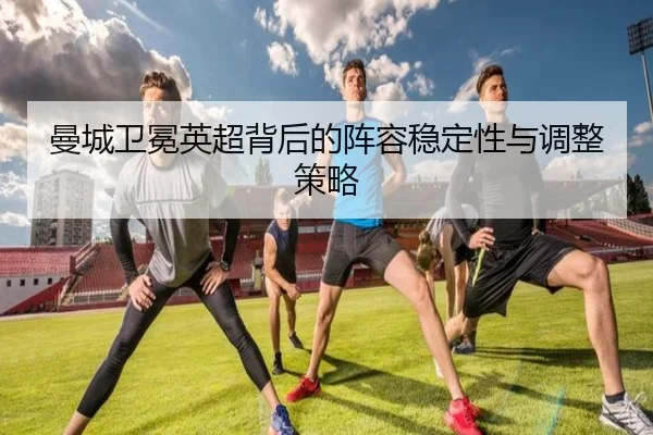 man-cheng-wei-mian-ying-chao-bei-hou-de-zhen-rong-wen-ding-xing-yu-tiao-zheng-ce-lve-2-774.jpg